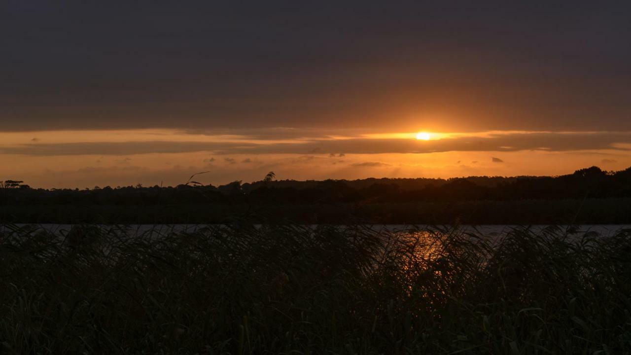 Saint Lucia Estuary 33 The Bridge Resort מראה חיצוני תמונה