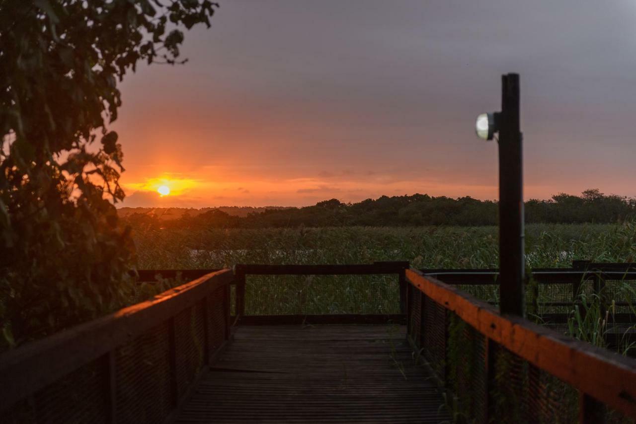 Saint Lucia Estuary 33 The Bridge Resort מראה חיצוני תמונה